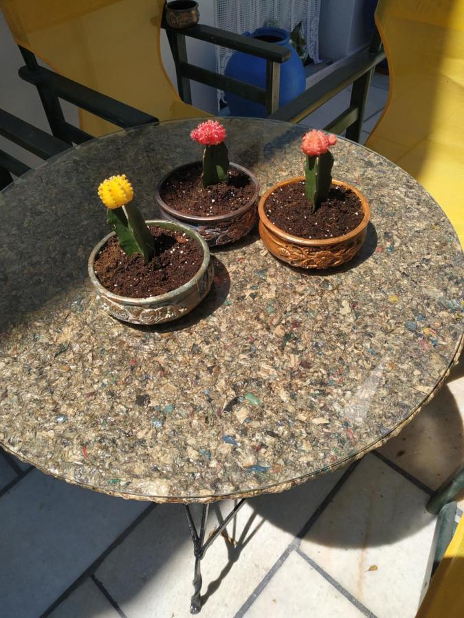Vitzileos Studios Agios Prokopios  Bagian luar foto