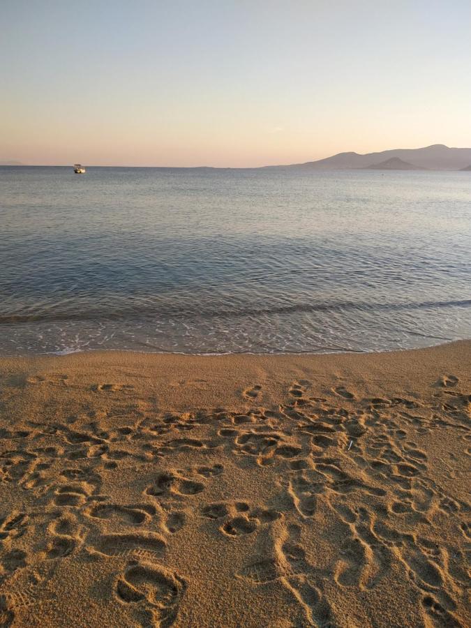 Vitzileos Studios Agios Prokopios  Bagian luar foto